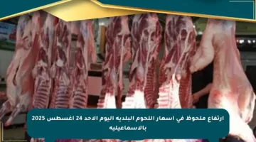 ارتفاع ملحوظ في أسعار اللحوم البلدية اليوم الأحد 24 أغسطس 2025 بالإسماعيلية